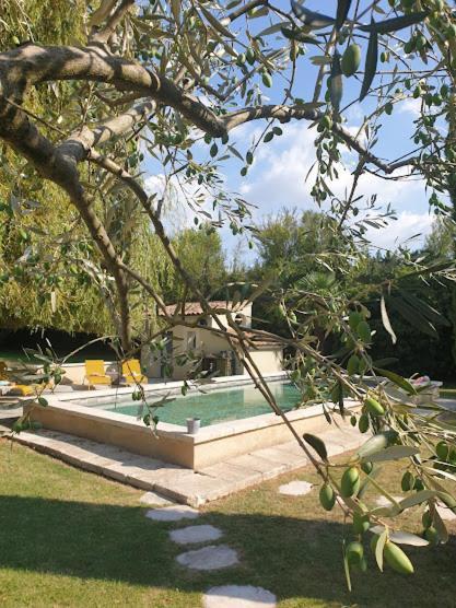 Mas Des Muses Bed & Breakfast LʼIsle-sur-la-Sorgue Eksteriør bilde